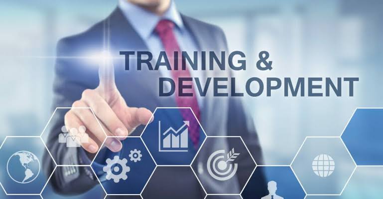 Training and Development Services