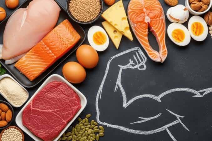 Why Is Protein Important For Muscle And Fat Loss