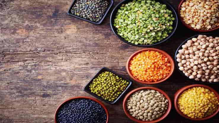 Which Lentils Have the Most Protein